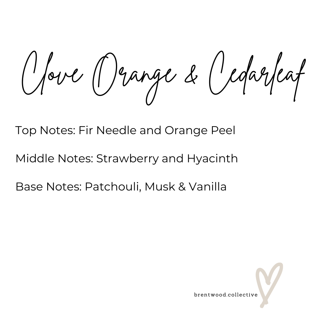 Clove Orange & CedarLeaf | Candle